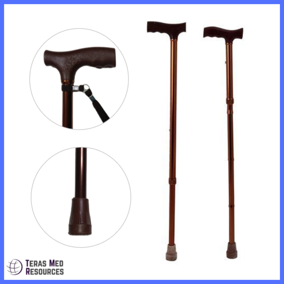 Walking stick